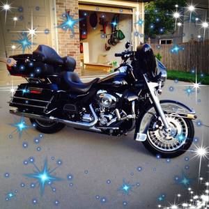 Meet your Posher, Joyce